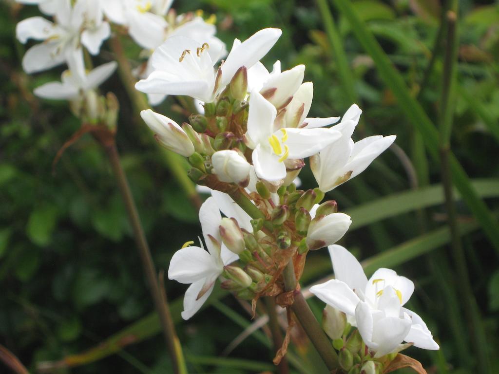 Iveragh Heights Bed & Breakfast Cahersiveen Ruang foto